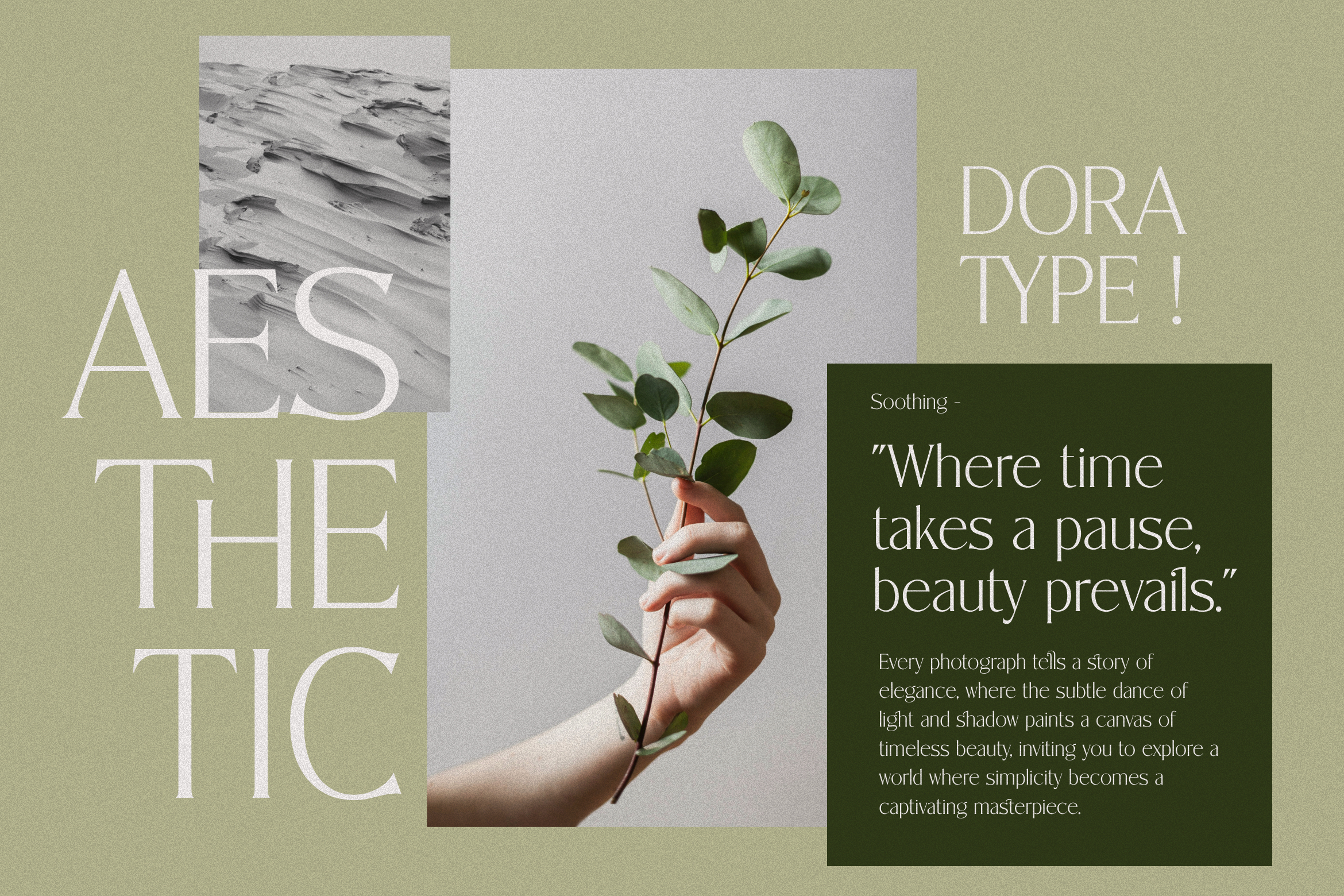 Alisheia-Elegant Serif Font