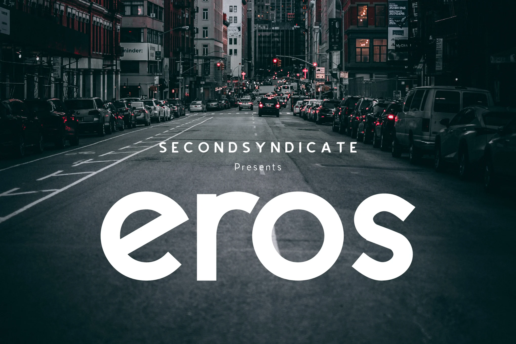 23+ Best Serif Fonts for Eye-Catching Typography 5 EROS- Serif Font