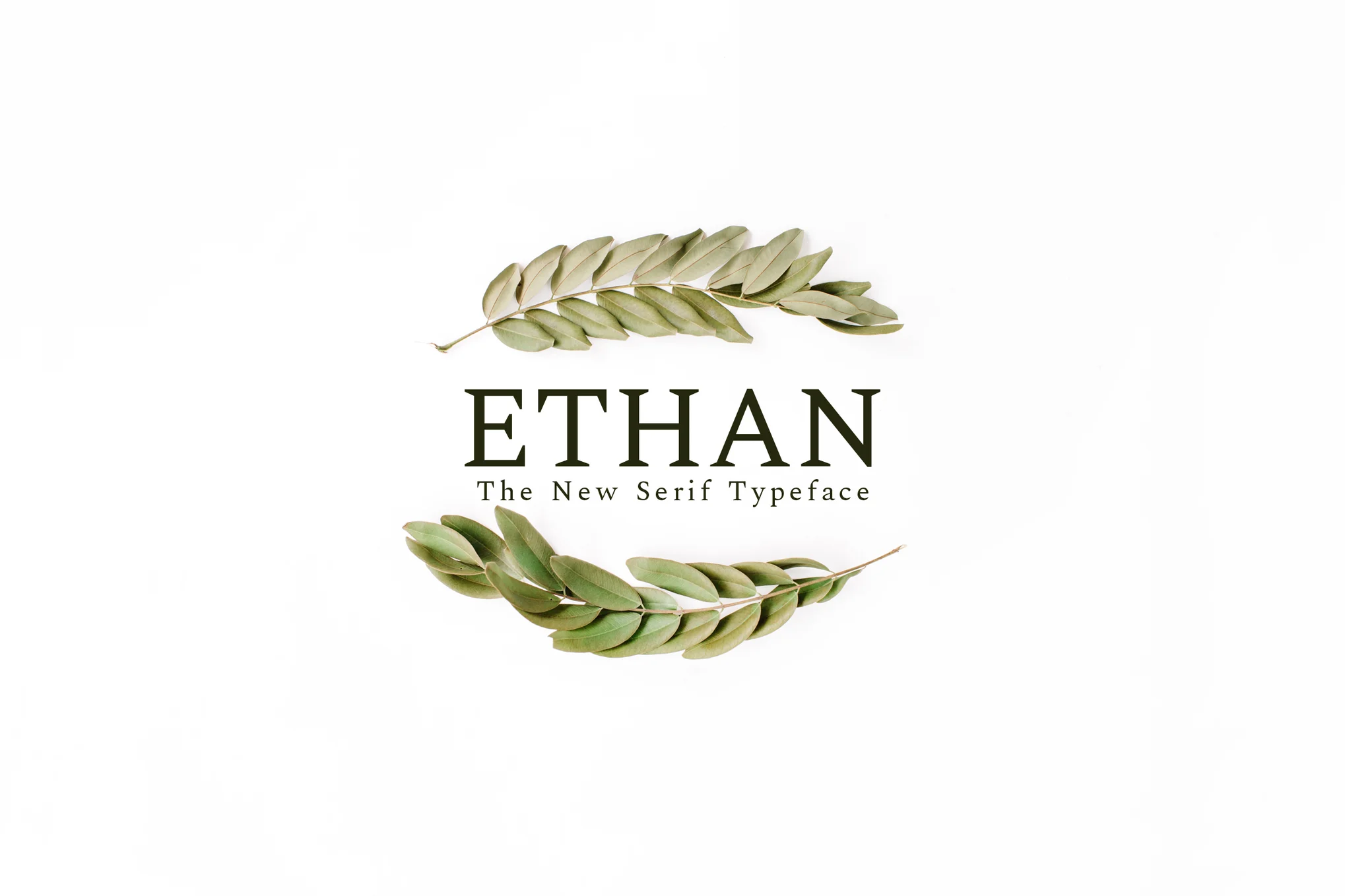 23+ Best Serif Fonts for Eye-Catching Typography 22 Ethan Serif Font Family