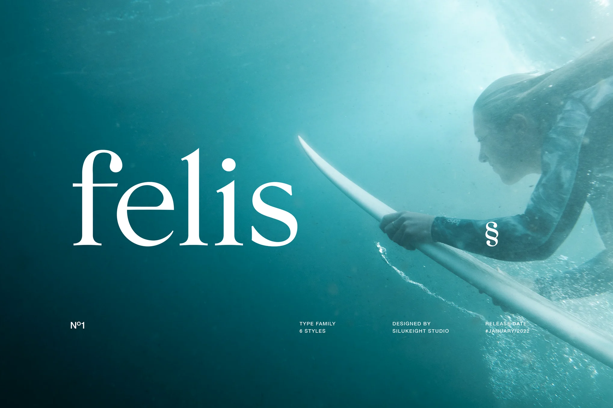 23+ Best Serif Fonts for Eye-Catching Typography 4 Felis Serif Font