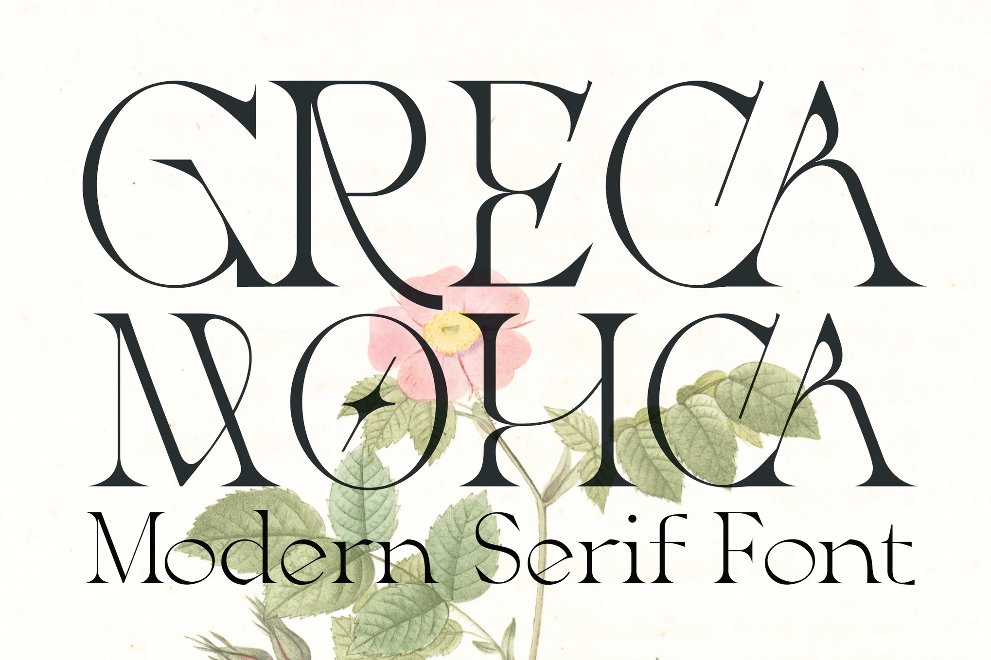 23+ Best Serif Fonts for Eye-Catching Typography 11 Greca - Modern Serif Font