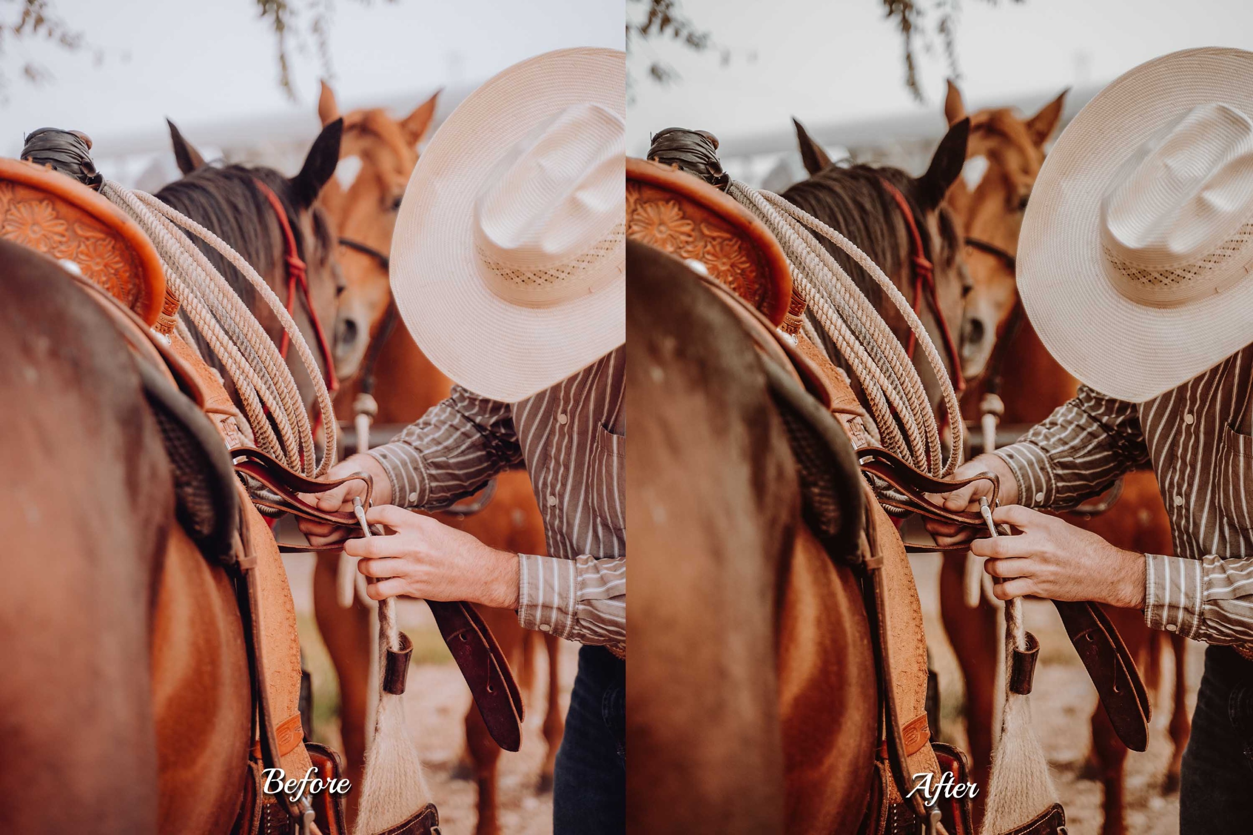 Bring a touch of vintage, dramatic, and sun-drenched style to your photography with this Wild West Lightroom Presets bundle, containing 30 desktop and 30 mobile preset options.
