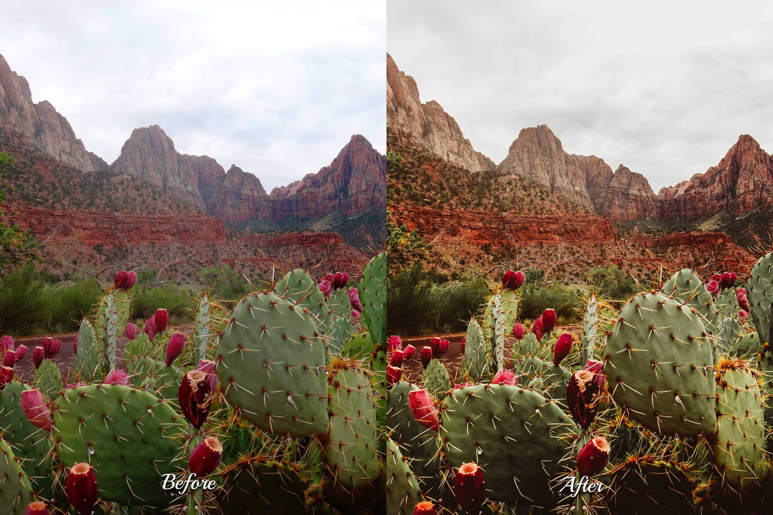 Capture the perfect classic, sun-drenched, and dramatic aesthetic for your cowboy, outdoor, and lifestyle photography with this Wild West Lightroom Presets collection.