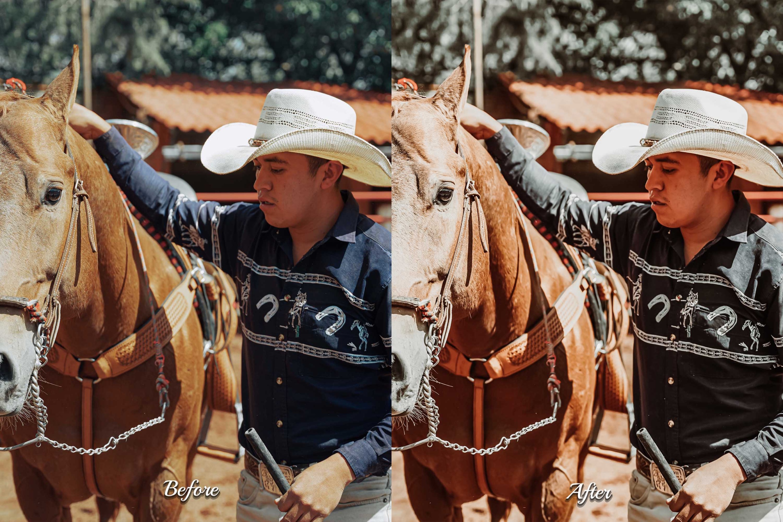 Cinematic Photoshop presets that capture the dramatic lighting and muted tones of the Wild West, ideal for storytelling and adventure-themed images.