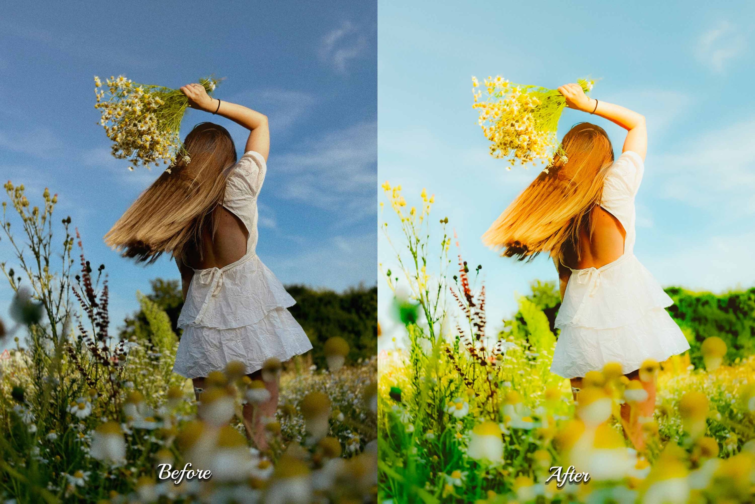 A lush forest bathed in warm, golden sunlight. Enhance your nature photos with Eden Lightroom Presets.