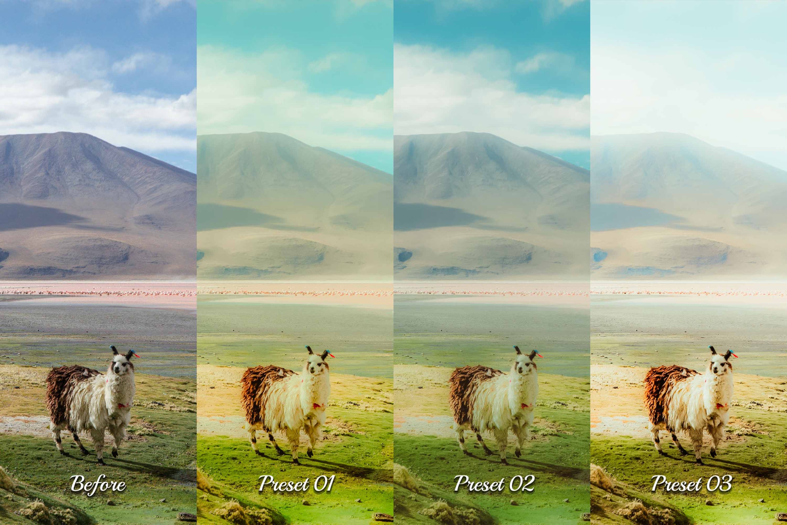 Eden Lightroom Presets" on a backdrop of a breathtaking mountain vista. Create stunning outdoor photography with Eden Presets.