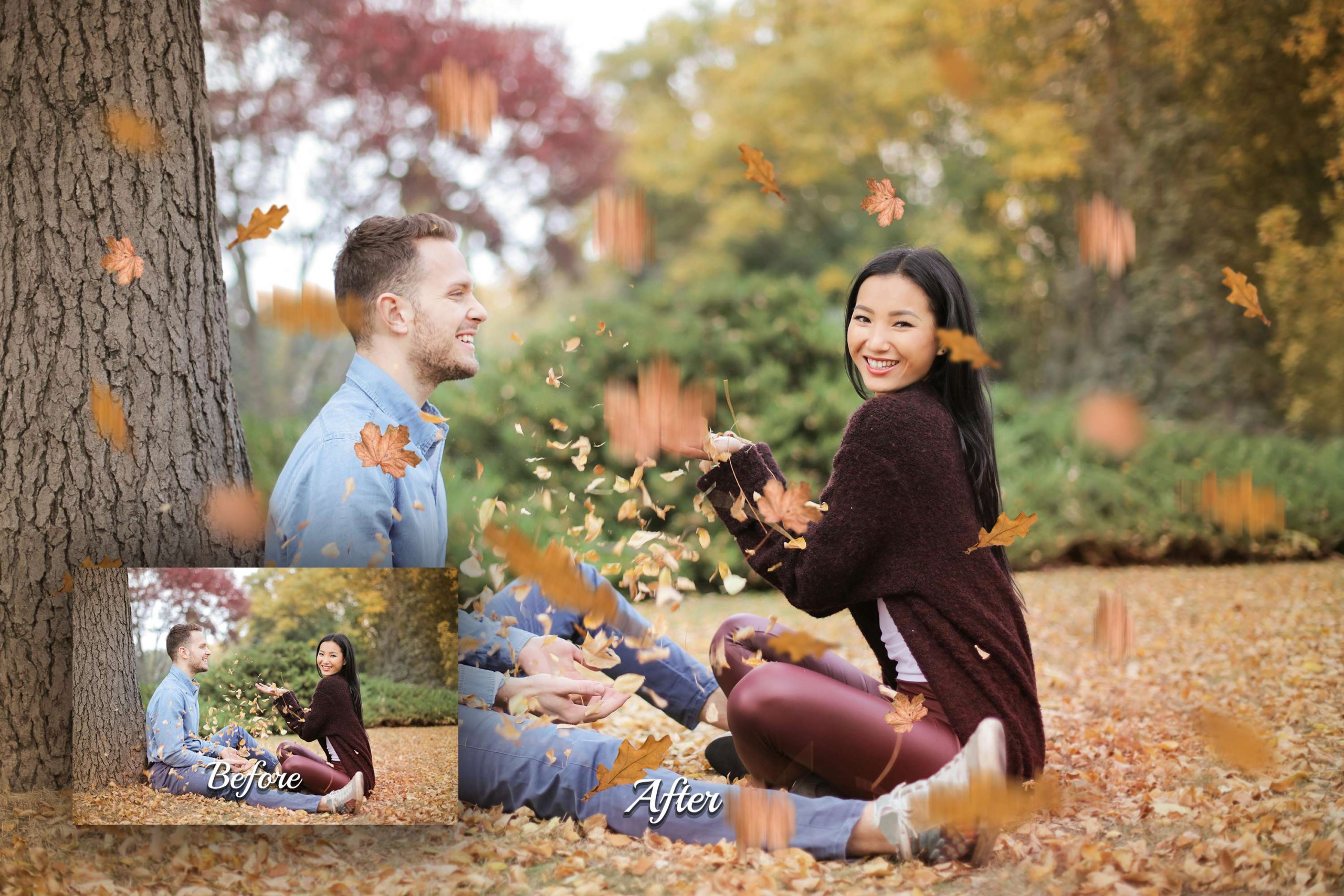 High-res PNGs featuring branches, fall foliage textures, and falling leaves in green, orange, red, and yellow. Perfect for autumn photography.