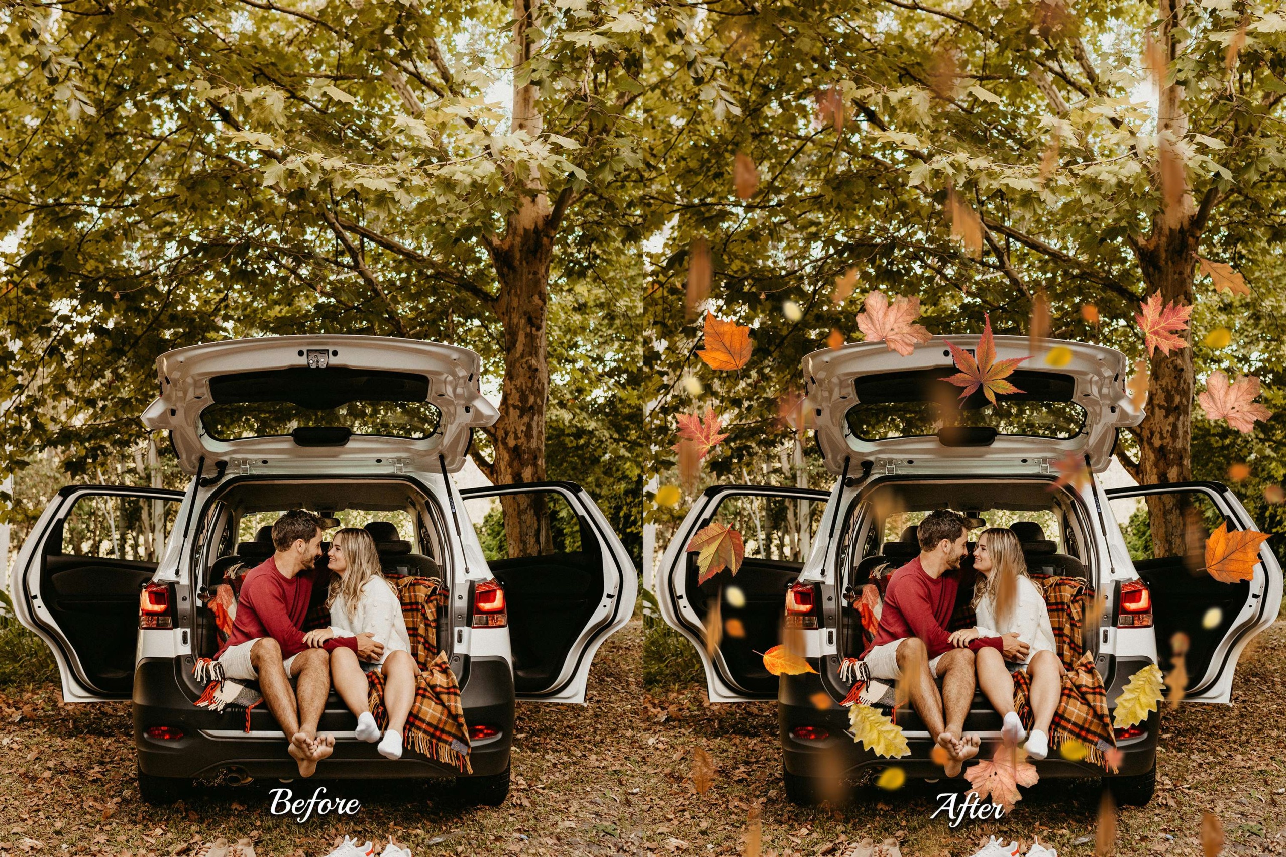 Realistic branches, fall foliage textures, and falling leaves in various colors. Ideal for nature, portraits, family, and holiday photos.