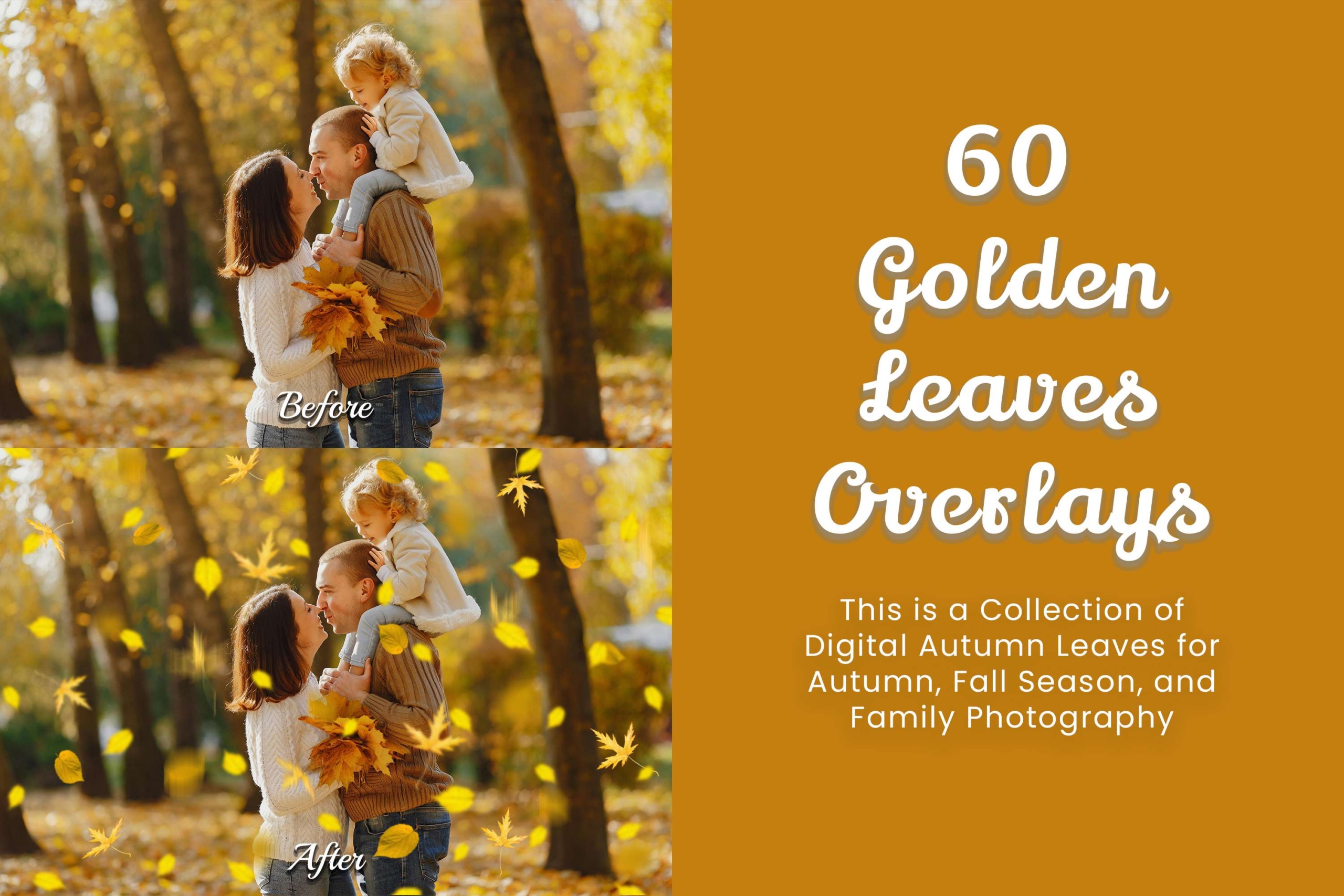 Create stunning autumn art with 60 Golden Leaves Overlays. High-res PNGs with realistic branches, fall foliage textures, and falling leaves. Perfect for family, couples, holiday, and children photos.