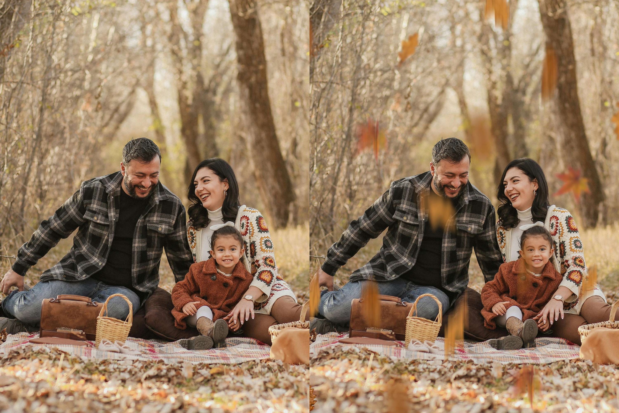 Transform your photos with 60 Golden Leaves Overlays. High-res PNGs featuring realistic branches, vibrant fall foliage textures, and falling leaves in green, orange, red, and yellow.