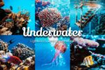 Underwater scene with vibrant coral reefs and colorful fish, enhanced with Lightroom presets for stunning ocean photography.