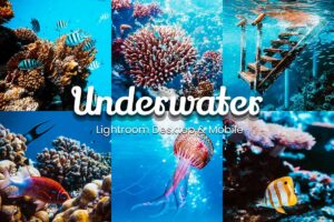 Underwater scene with vibrant coral reefs and colorful fish, enhanced with Lightroom presets for stunning ocean photography.