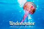 Vibrant underwater scene showcasing colorful fish among coral reefs, enhanced with Photoshop actions for stunning ocean photography.