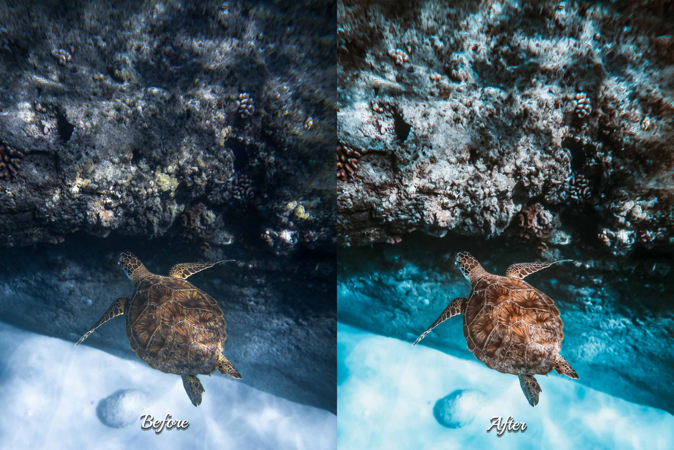 Diver exploring a beautiful underwater landscape, featuring rich colors and textures, edited with specialized Photoshop presets.