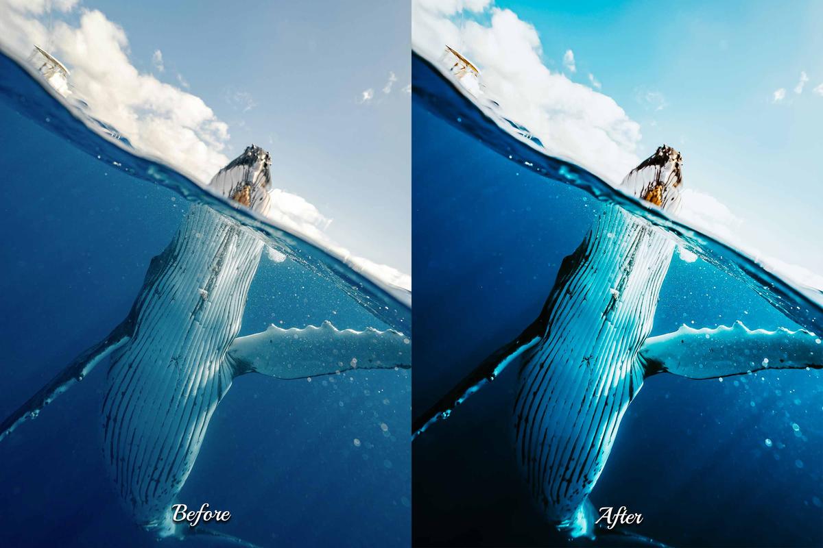 Deep blue ocean shot featuring a diver surrounded by vibrant sea life, edited for enhanced colors and mood.