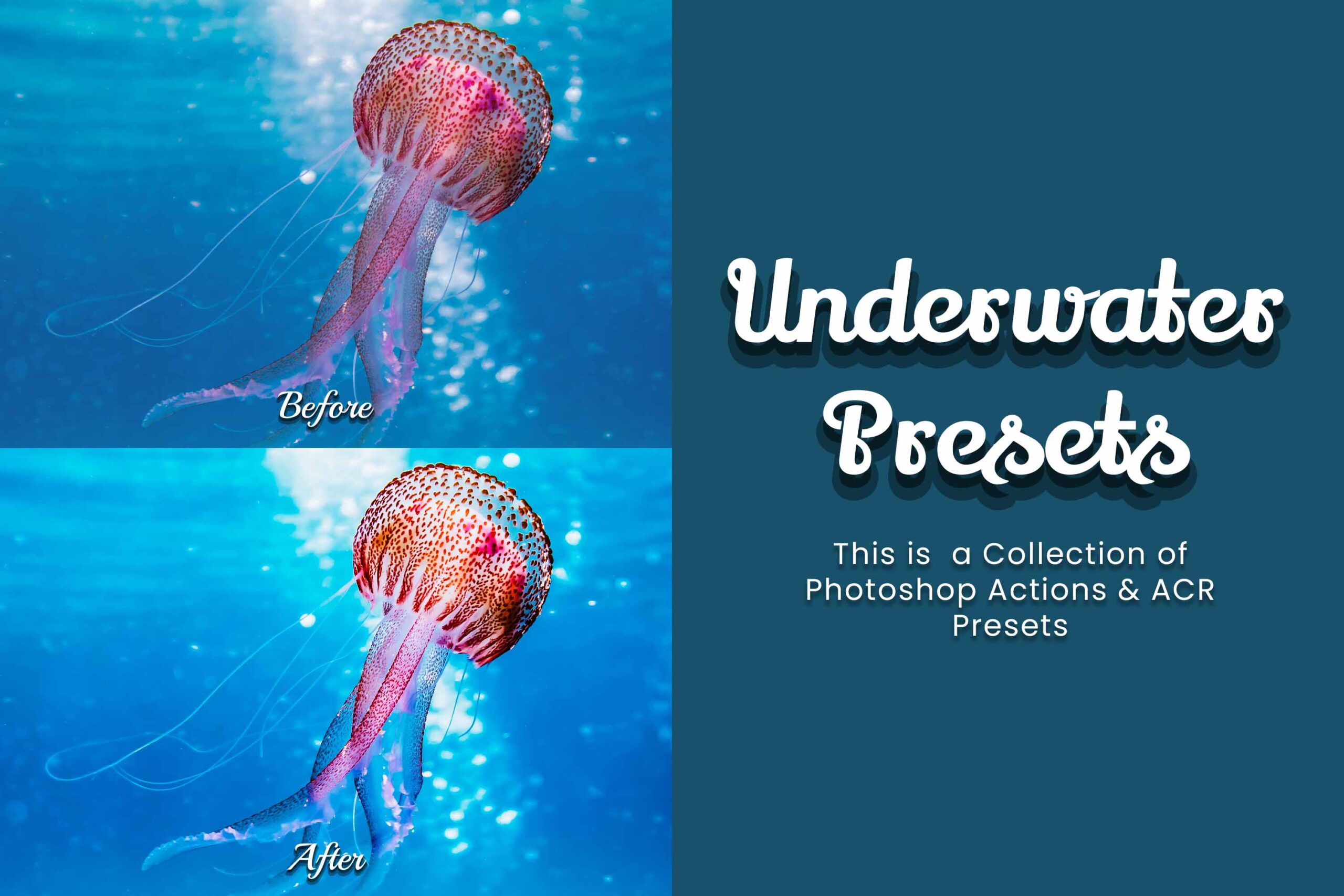 Aquatic environment featuring detailed textures and colors, illustrating the impact of Photoshop actions on underwater photography.