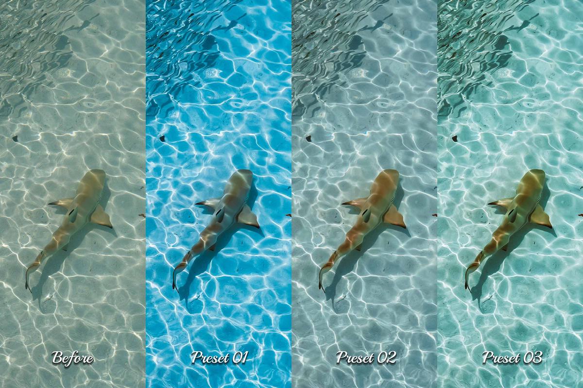Family diving adventure captured in vivid colors, showcasing the joy of underwater exploration with Lightroom enhancements.