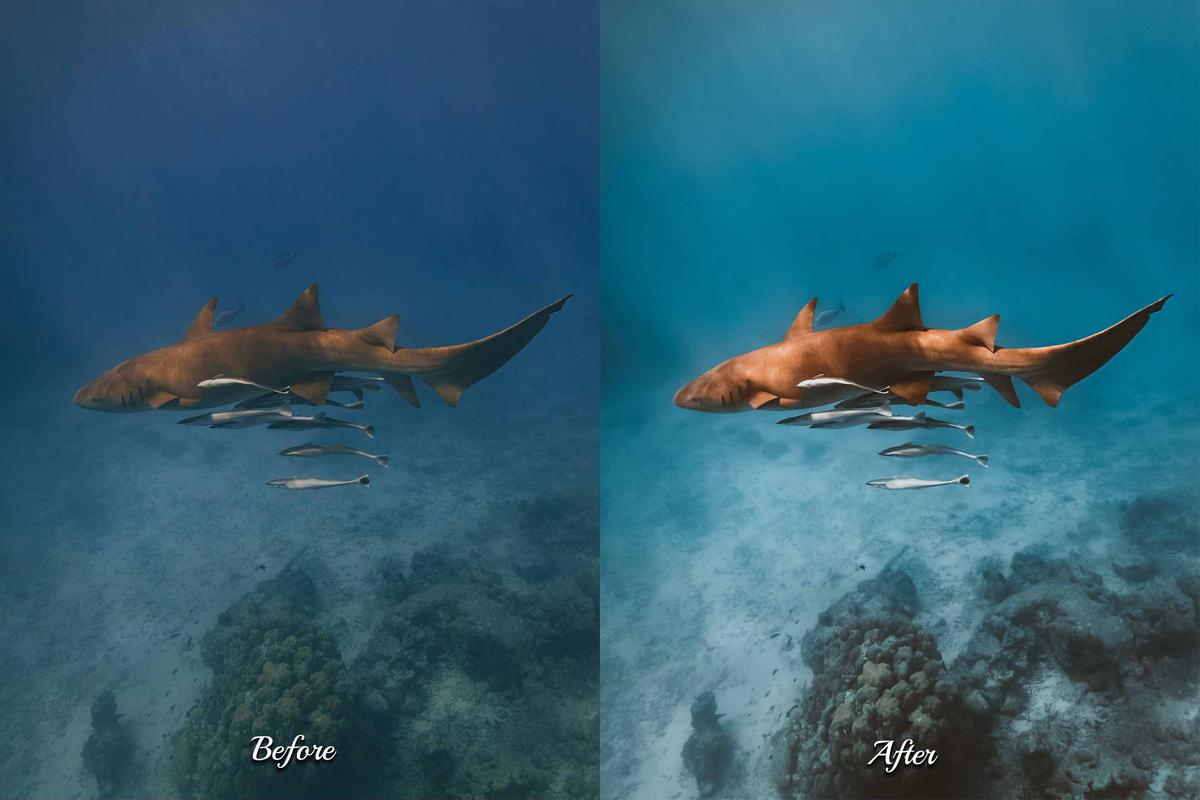 Moody underwater photo of a mysterious sea creature, enriched with presets that highlight deep blues and ocean vibes.
