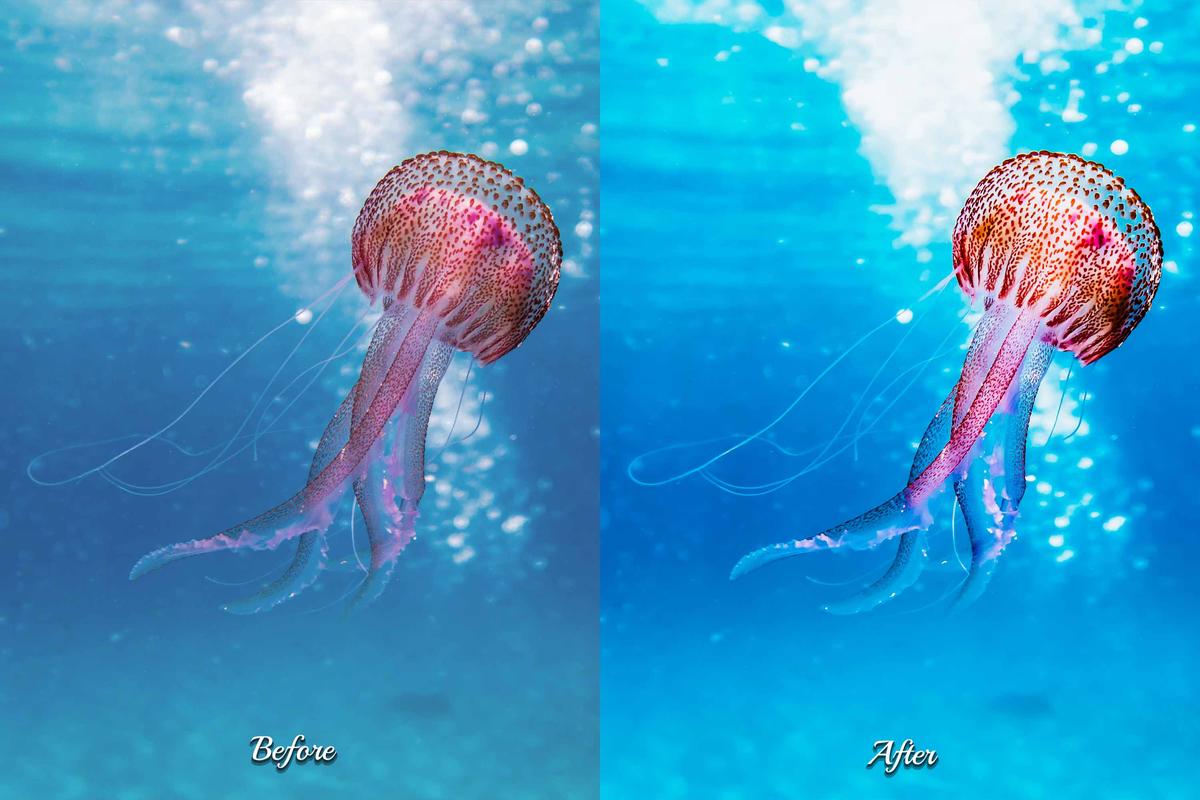 Bloggers capturing stunning underwater moments, using Lightroom presets to elevate their ocean photography.