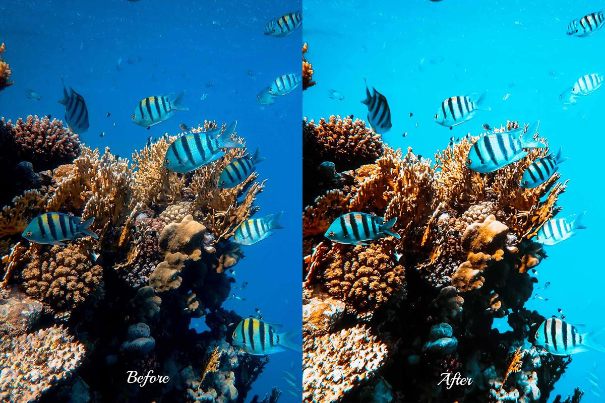 Travel influencer showcasing beautiful underwater ecosystems through expertly edited photos with vibrant colors.