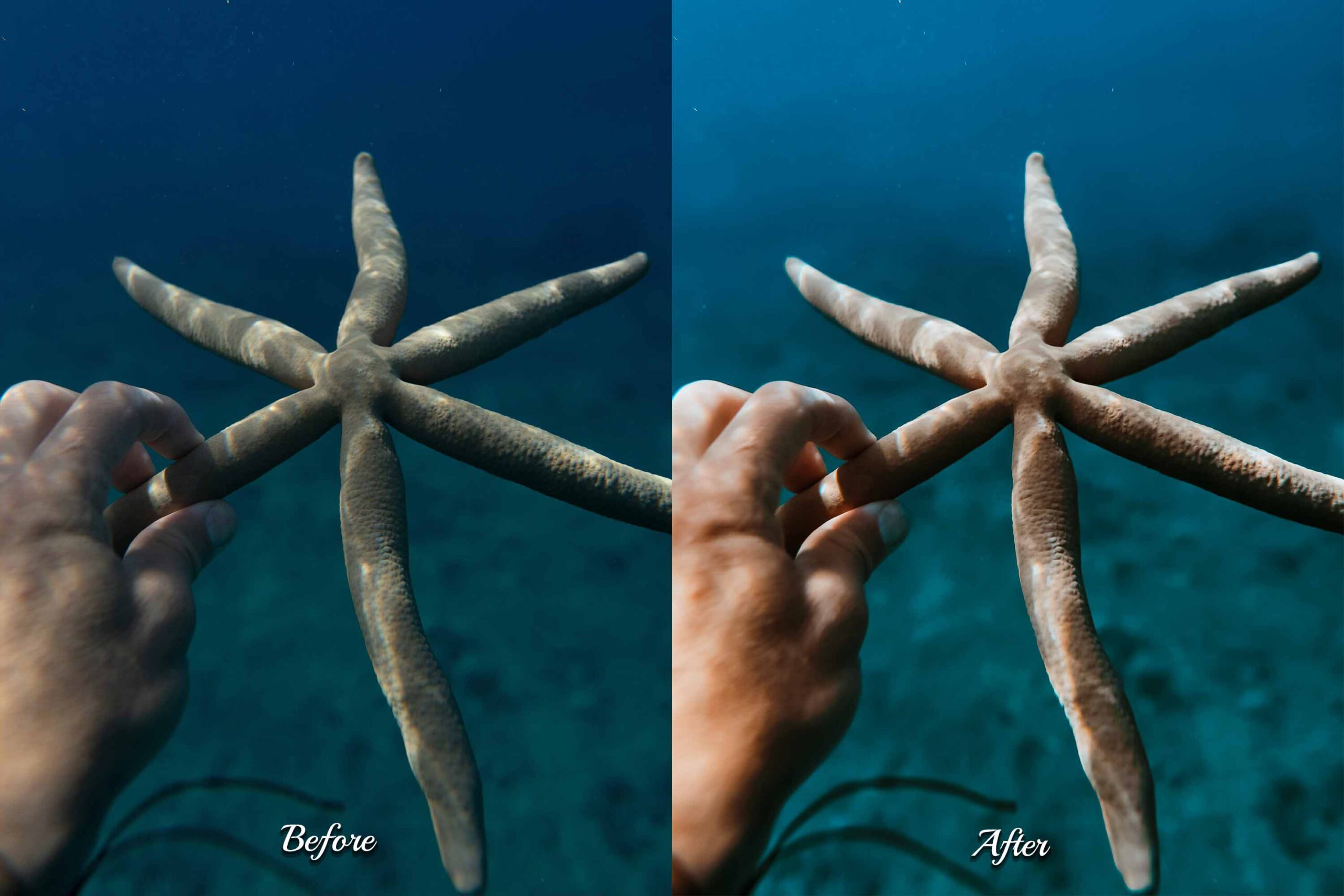 Underwater aesthetics featuring a diver interacting with marine life, transformed with Photoshop actions for a captivating visual effect.