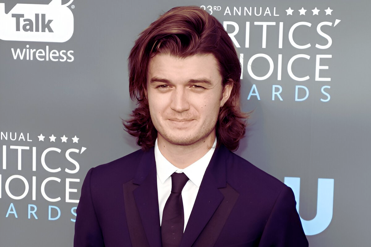 Stranger Things Star Joe Keery Drops New Album ‘The Crux’