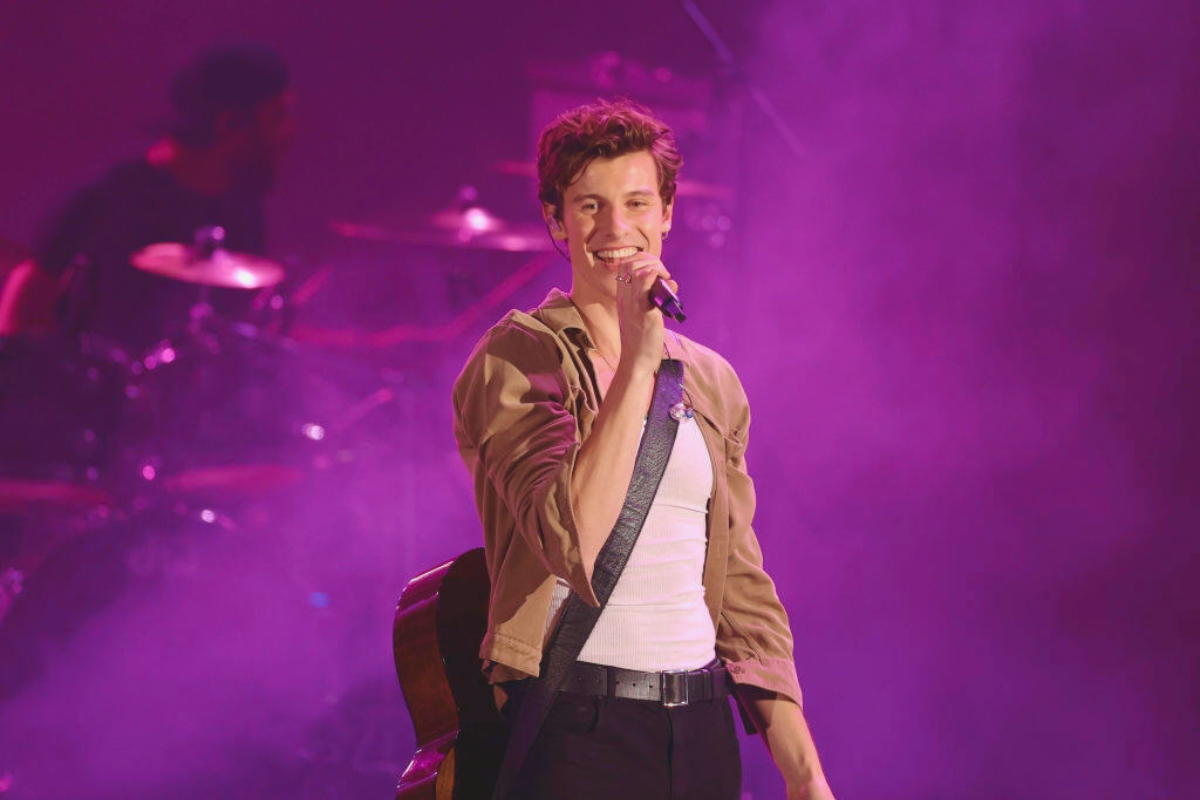 Shawn Mendes' Groundbreaking New Album: What's the Thinking Behind Shawn's Story?