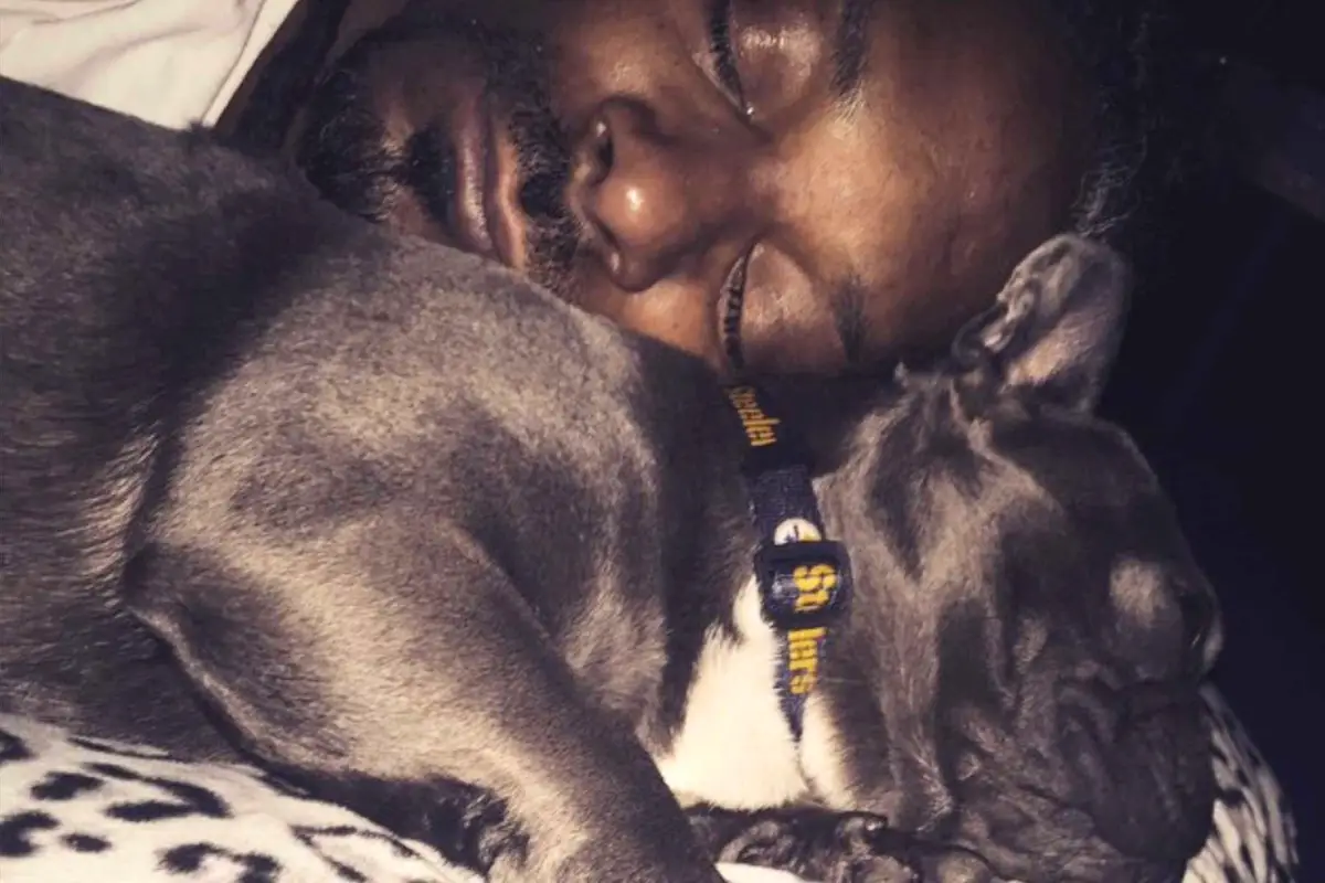 Snoop Dogg’s Pup Juelz: The Instagram Sensation Who Left Behind an Unlikely Legacy