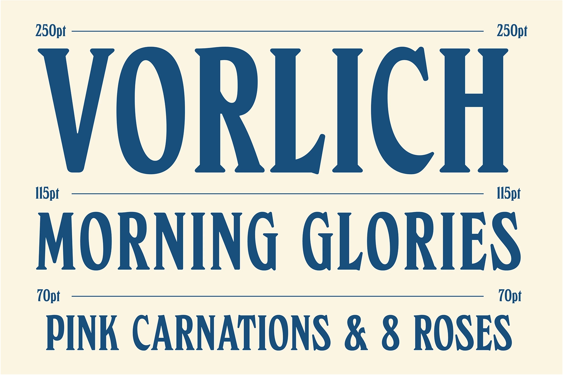 rtco vorlich display serif font image preview 2