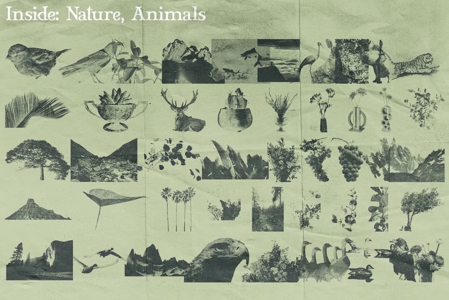 True Halftone Collection preview 8